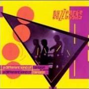 Der musikalische text SITTING ROUND AT HOME von BUZZCOCKS ist auch in dem Album vorhanden A different kind of tension (1979)