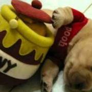 The cloud room The cloud room