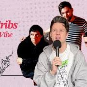 Der musikalische text BROTHERS WON'T BREAK von THE CRIBS ist auch in dem Album vorhanden Selling a vibe (2026)