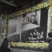 Der musikalische text CHI-TOWN von THE CRIBS ist auch in dem Album vorhanden In the belly of the brazen bull (2012)