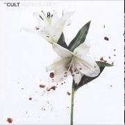 Der musikalische text NO LOVE LOST von THE CULT ist auch in dem Album vorhanden Hidden city (2016)