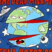 Der musikalische text SILLY DREAMS von DEAD MILKMEN ist auch in dem Album vorhanden Soul rotation (1992)