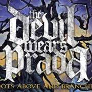 Der musikalische text I HATE BUFFERING von THE DEVIL WEARS PRADA ist auch in dem Album vorhanden With roots above and branches below (2009)