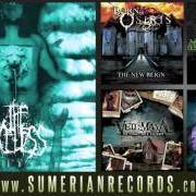 Der musikalische text ALL DARK GRAVES von THE FACELESS ist auch in dem Album vorhanden Akeldama (2006)