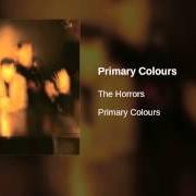 Der musikalische text I CAN'T CONTROL MYSELF von THE HORRORS ist auch in dem Album vorhanden Primary colours (2009)