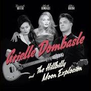 Der musikalische text YOU DON'T OWN ME von ARIELLE DOMBASLE ist auch in dem Album vorhanden French kiss (2015)