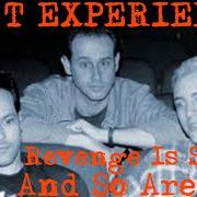 Der musikalische text SOME FOGGY MOUNTAIN TOP von THE MR. T EXPERIENCE ist auch in dem Album vorhanden Revenge is sweet, and so are you (1997)