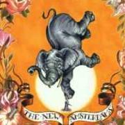 Der musikalische text REVENGE von THE NEW AMSTERDAMS ist auch in dem Album vorhanden At the foot of my rival (2007)