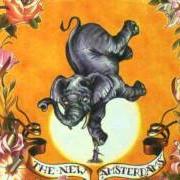 Der musikalische text A SMALL CRUSADE von THE NEW AMSTERDAMS ist auch in dem Album vorhanden Story like a scar (2006)