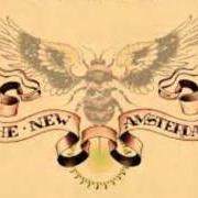 Der musikalische text HEAVEN SENT von THE NEW AMSTERDAMS ist auch in dem Album vorhanden Killed or cured (2005)