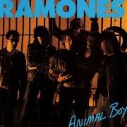 Der musikalische text SHE BELONGS TO ME von RAMONES ist auch in dem Album vorhanden Animal boy (1986)