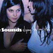 Der musikalische text NIGHT AFTER NIGHT von THE SOUNDS ist auch in dem Album vorhanden Dying to say this to you (2006)