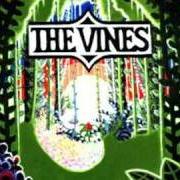 Der musikalische text SUNSHININ von THE VINES ist auch in dem Album vorhanden Highly evolved (2002)