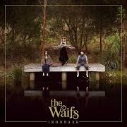 Der musikalische text WILLOW TREE von THE WAIFS ist auch in dem Album vorhanden Ironbark (2017)