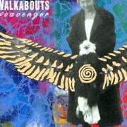 Der musikalische text THE NIGHT WATCH von THE WALKABOUTS ist auch in dem Album vorhanden Scavenger (1990)