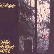Der musikalische text HOLE IN THE MOUNTAIN von THE WALKABOUTS ist auch in dem Album vorhanden Setting the woods of fire (1994)