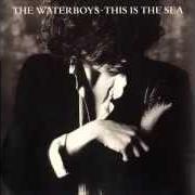 The best of the waterboys