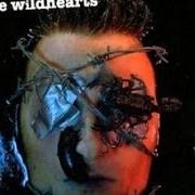 Der musikalische text THE NEW FLESH von THE WILDHEARTS ist auch in dem Album vorhanden The wildhearts (2007)
