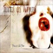 Der musikalische text BLACK MIRROR von THEATRES DES VAMPIRES ist auch in dem Album vorhanden Pleasure and pain (2005)