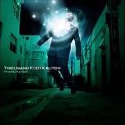 Der musikalische text THIS IS A CALL von THOUSAND FOOT KRUTCH ist auch in dem Album vorhanden Phenomenon (2003)