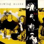 Der musikalische text I'M ALIVE von THROWING MUSES ist auch in dem Album vorhanden Hunkpapa (1990)