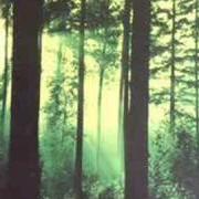 Der musikalische text TRAVELLER OF UNKNOWN PLAINS von THY SERPENT ist auch in dem Album vorhanden Forests of witchery (1996)
