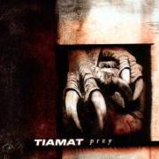 Der musikalische text CARRY YOUR CROSS AND I'LL CARRY MINE von TIAMAT ist auch in dem Album vorhanden Prey (2003)