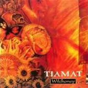 Der musikalische text KALEIDOSCOPE von TIAMAT ist auch in dem Album vorhanden Wildhoney (1994)