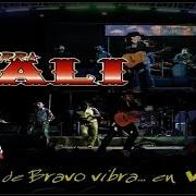 Der musikalische text ENAMORADO DE TÍ von TIERRA CALI ist auch in dem Album vorhanden Valle de bravo vibra... en vivo (2013)