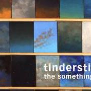 Der musikalische text GOODBYE JOE von TINDERSTICKS ist auch in dem Album vorhanden The something rain (2012)