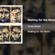 Der musikalische text SWEET MEMORY von TINDERSTICKS ist auch in dem Album vorhanden Waiting for the moon (2003)