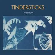 Der musikalische text MAN ALONE (CAN'T STOP THE FADIN') von TINDERSTICKS ist auch in dem Album vorhanden Distractions (2021)