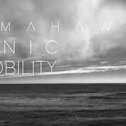Der musikalische text BUSINESS CASUAL von TOMAHAWK ist auch in dem Album vorhanden Tonic immobility (2021)