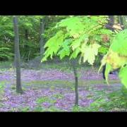 Hinter all diesen fenstern Hinter all diesen fenstern