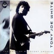 Der musikalische text SATURDAY NIGHT IN OAK GROVE, LOUISIANA von TONY JOE WHITE ist auch in dem Album vorhanden The best of tony joe white (1993)