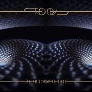 Der musikalische text INVINCIBLE von TOOL ist auch in dem Album vorhanden Fear inoculum (2019)
