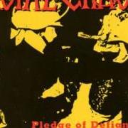 Der musikalische text FUCK THE SYSTEM von TOTAL CHAOS ist auch in dem Album vorhanden Pledge of defiance (1994)