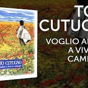 Der musikalische text VOGLIO ANDARE A VIVERE IN CAMPAGNA von TOTO CUTUGNO ist auch in dem Album vorhanden Voglio andare a vivere in campagna (1995)