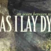 Der musikalische text I NEVER WANTED von AS I LAY DYING ist auch in dem Album vorhanden An ocean between us (2007)