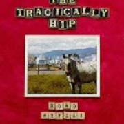 Der musikalische text TWIST MY ARM von TRAGICALLY HIP ist auch in dem Album vorhanden Road apples (1991)