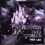 Der musikalische text MY LORD von TRIP LEE ist auch in dem Album vorhanden Between two worlds (2010)