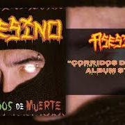 Der musikalische text DESPEDAZANDO MUERTOS von ASESINO ist auch in dem Album vorhanden Corridos de muerte (2002)