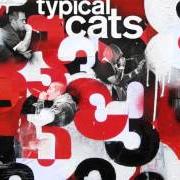Der musikalische text IT'S THE BOMB! von TYPICAL CATS ist auch in dem Album vorhanden 3 (2012)