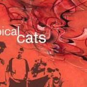 Der musikalische text IT WON'T STOP von TYPICAL CATS ist auch in dem Album vorhanden Typical cats (2001)