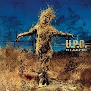 Der musikalische text CIRCLE OF LIFE von U.P.O. ist auch in dem Album vorhanden No pleasantries