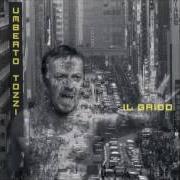 Der musikalische text IL GRIDO von UMBERTO TOZZI ist auch in dem Album vorhanden Il grido (1996)