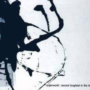 Der musikalische text ROWLA von UNDERWORLD ist auch in dem Album vorhanden Second toughest in the infants (1996)