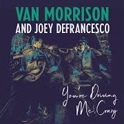 Der musikalische text CELTIC SWING von VAN MORRISON ist auch in dem Album vorhanden You're driving me crazy (2018)