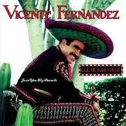 Der musikalische text AMOR DE MI ALMA von VICENTE FERNANDEZ ist auch in dem Album vorhanden Qué de raro tiene (1992)