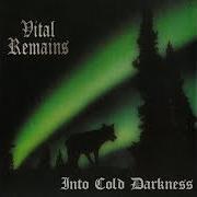 Der musikalische text ANGELS OF BLASPHEMY von VITAL REMAINS ist auch in dem Album vorhanden Into cold darkness (1995)
